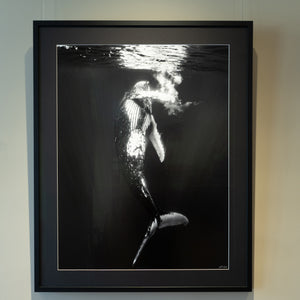 Humpback Whale Dance - Gallery frame (32x40 inches)