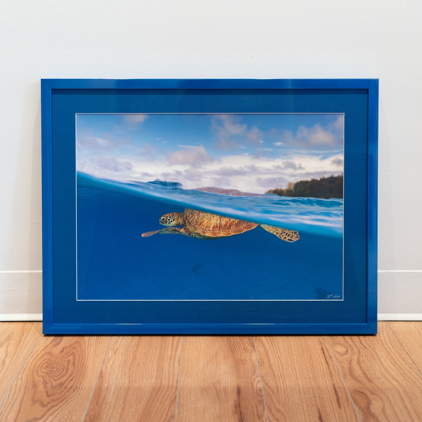 Green sea turtle at the surface - Gallery frame (18x24 inches)