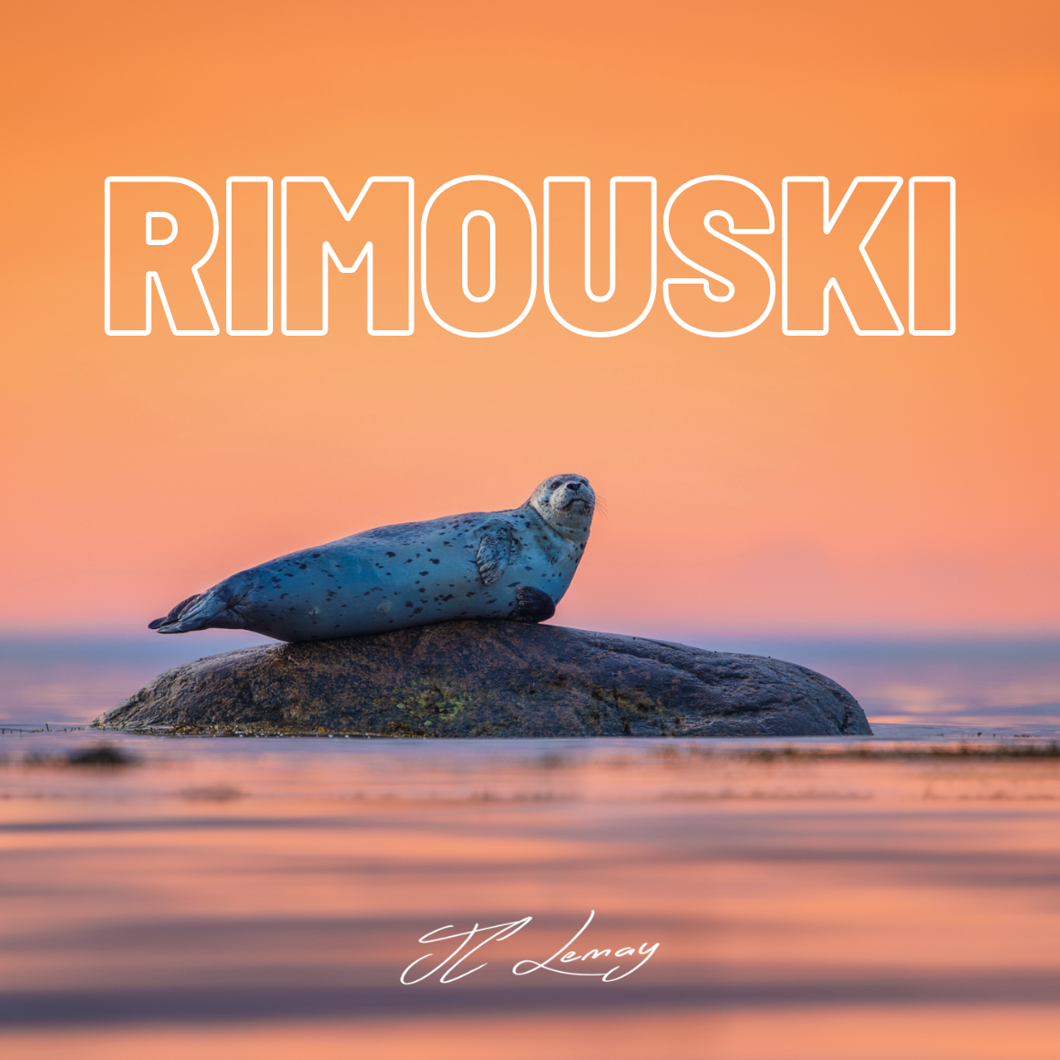 Magnet - Sunset seal