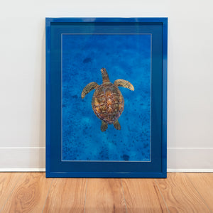 Natural beauty - Gallery Frame (18x24 inches)