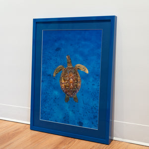 Natural beauty - Gallery Frame (18x24 inches)