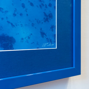 Natural beauty - Gallery Frame (18x24 inches)