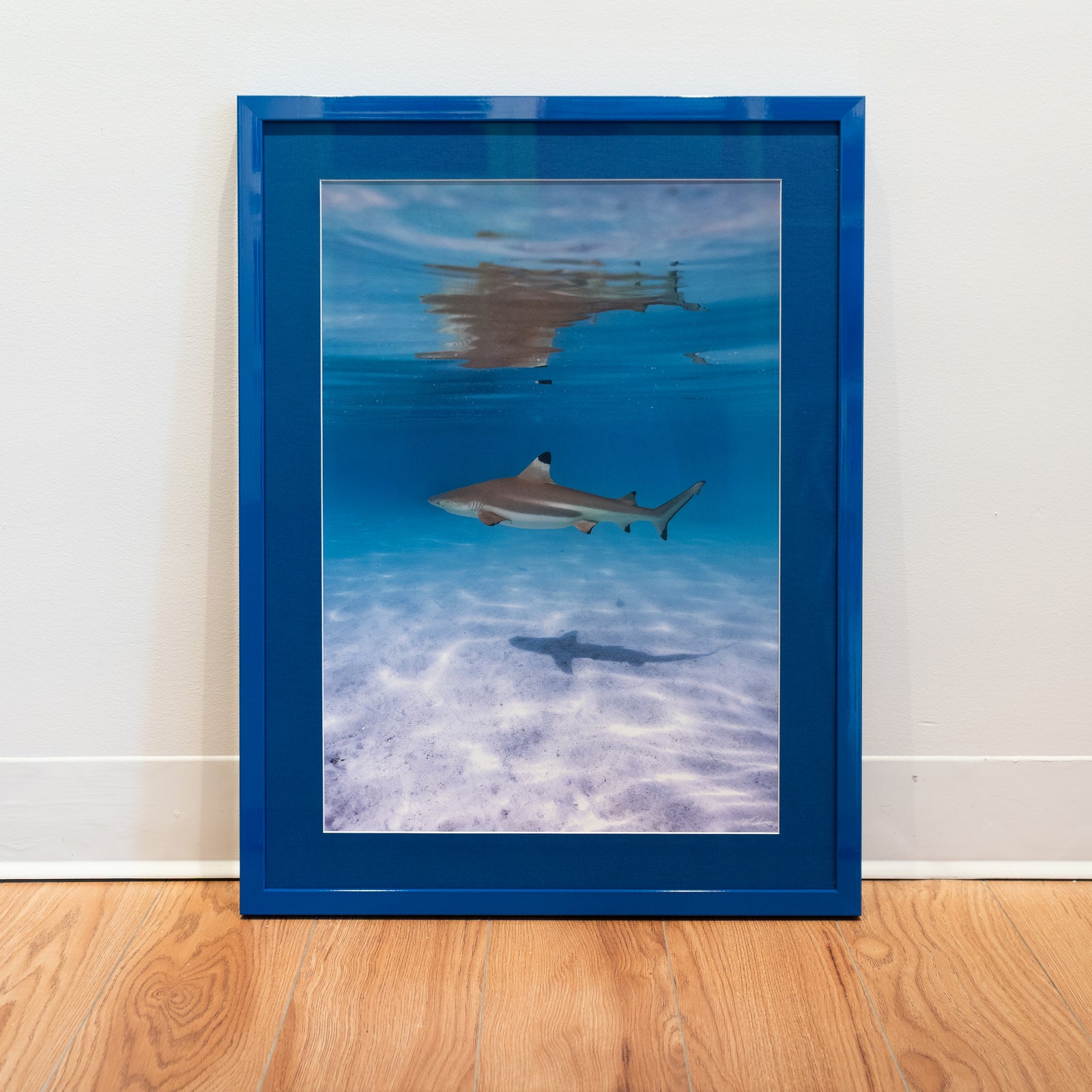 Black tip- Gallery frame (18x24 inches)