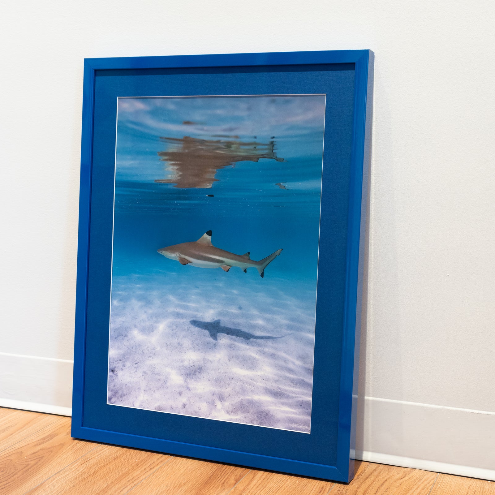 Black tip- Gallery frame (18x24 inches)