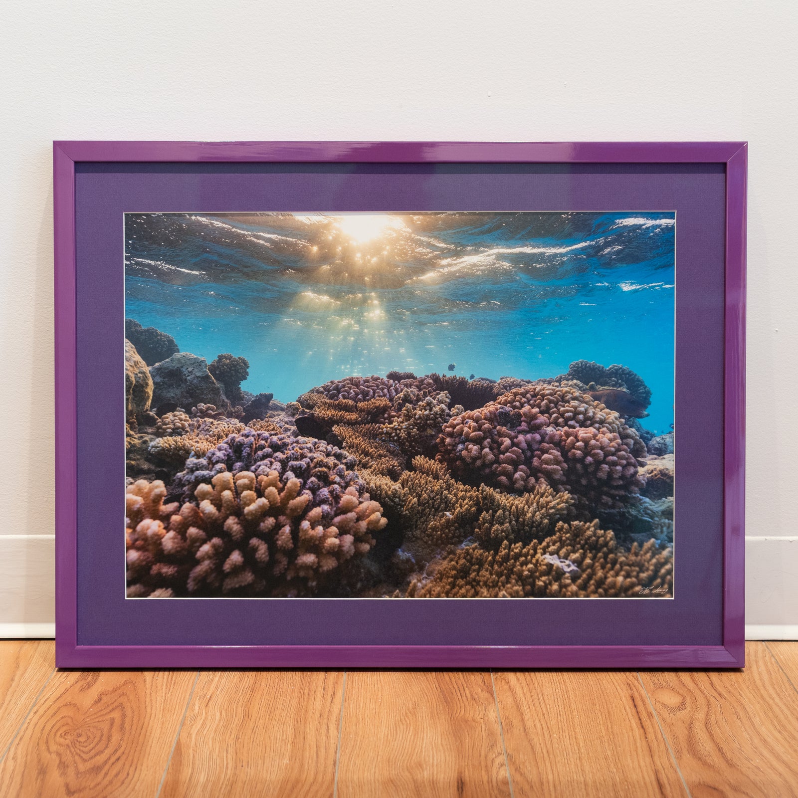 Natural aquarium - Gallery frame (18x24 inches)