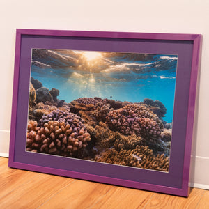 Natural aquarium - Gallery frame (18x24 inches)