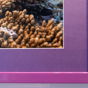 Natural aquarium - Gallery frame (18x24 inches)