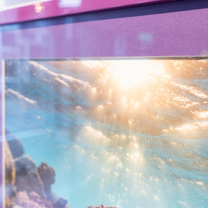Natural aquarium - Gallery frame (18x24 inches)