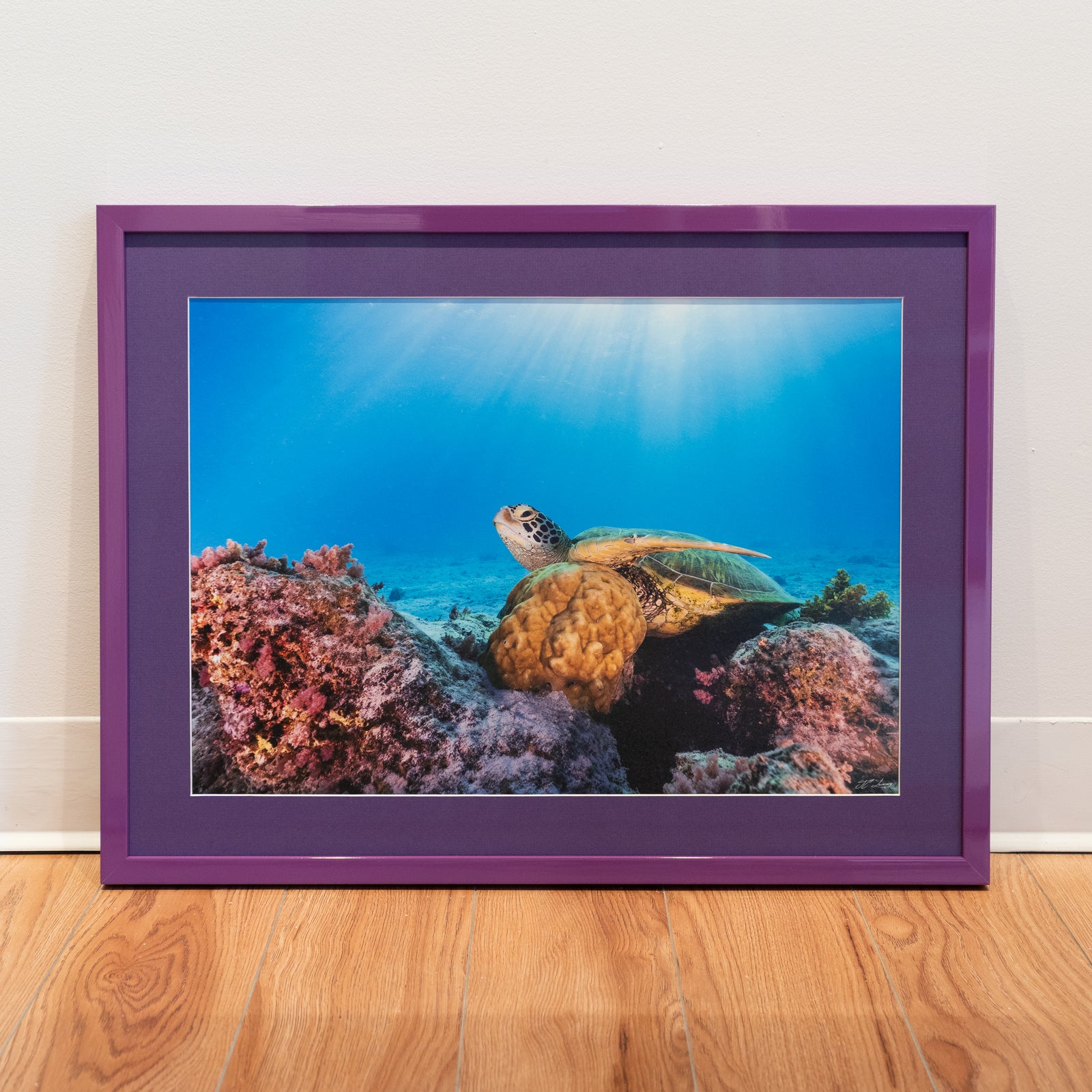 At rest, deep down – Gallery frame (18x24 inches)