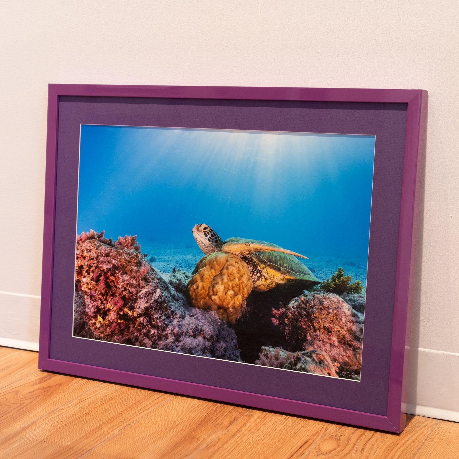At rest, deep down – Gallery frame (18x24 inches)