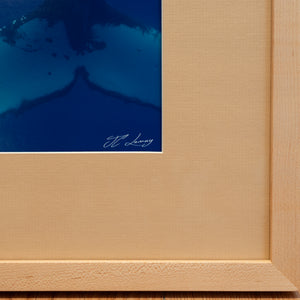 A curious duo of humpback whales – Gallery Frame (24x36 inches)