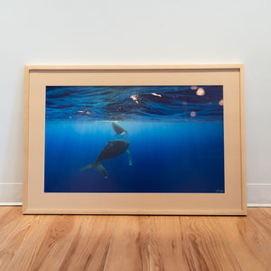 Under the light – Gallery Frame (24x36 inches)