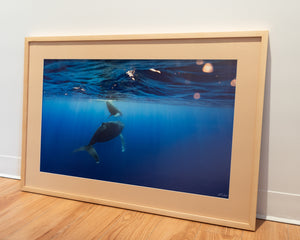 Under the light – Gallery Frame (24x36 inches)