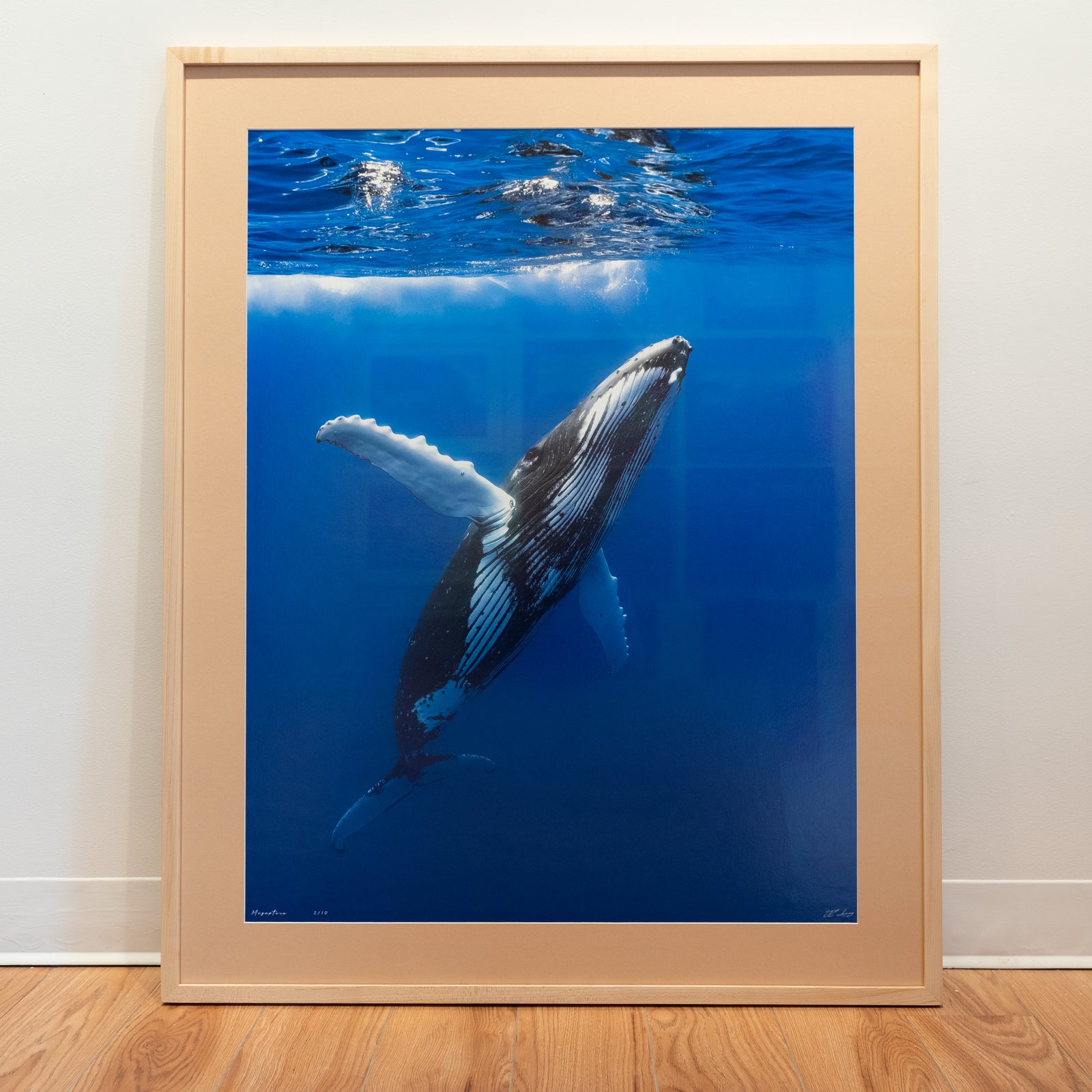 Megaptera - Limited Edition - Gallery Frame (32x40 inches)