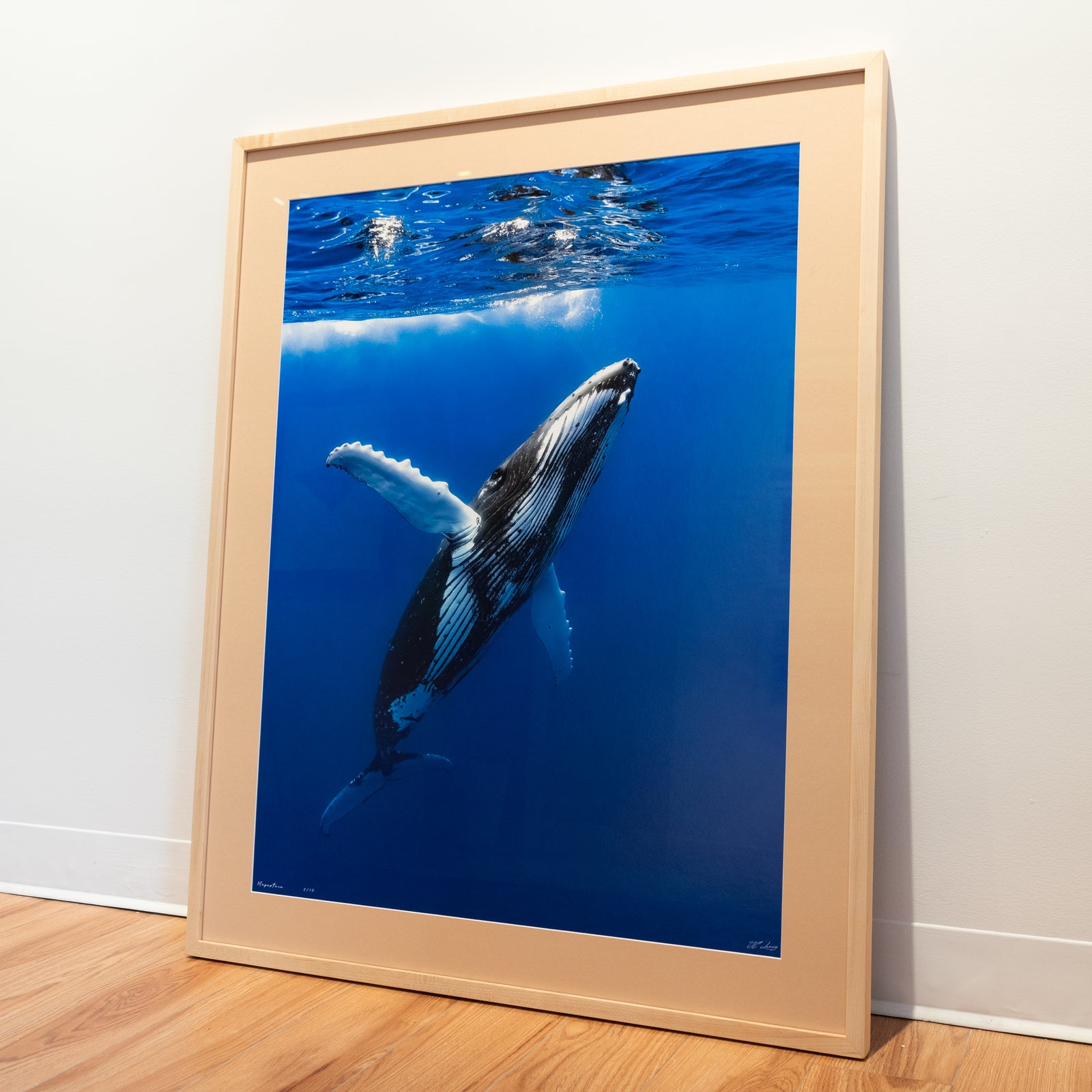 Megaptera - Limited Edition - Gallery Frame (32x40 inches)
