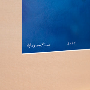 Megaptera - Limited Edition - Gallery Frame (32x40 inches)