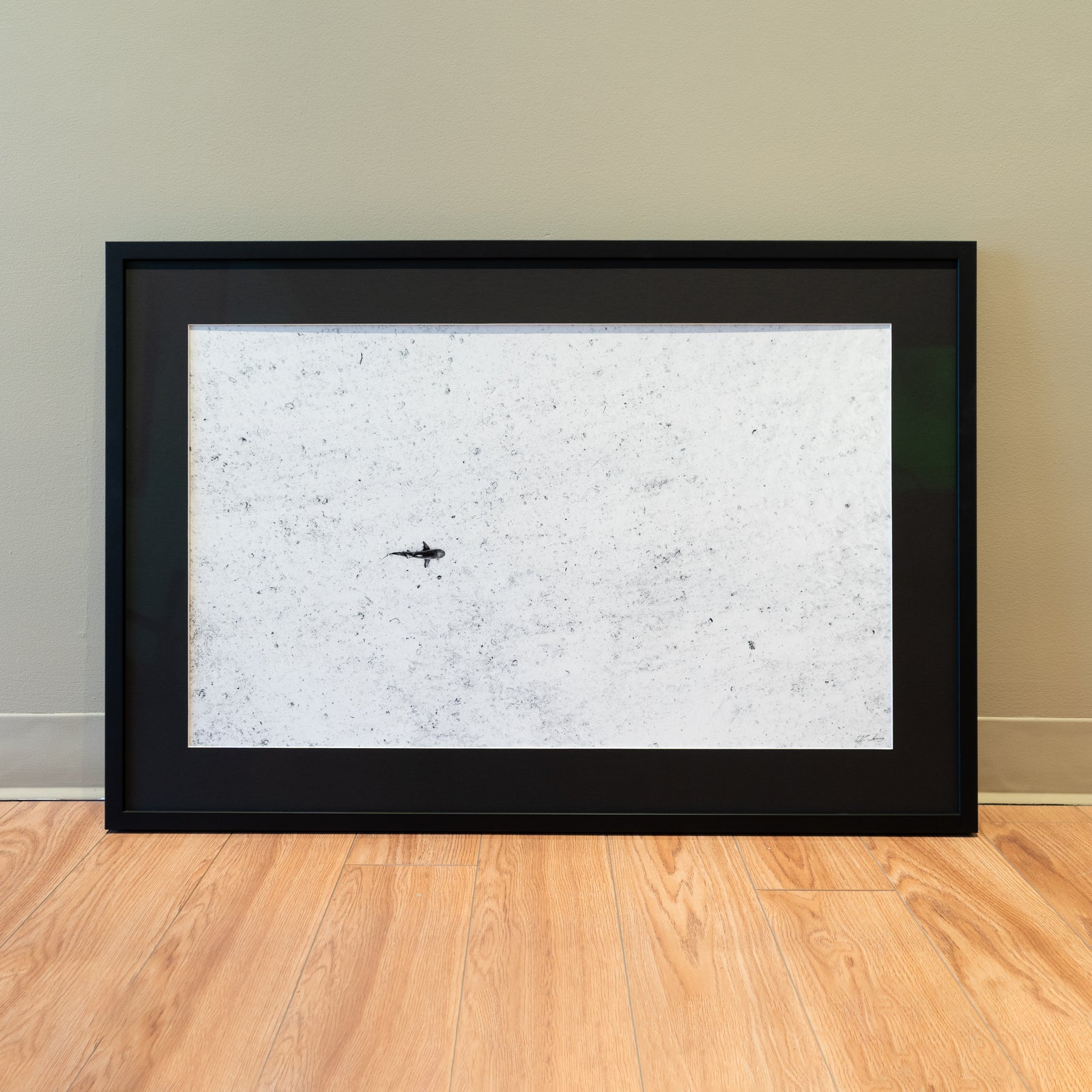 Shark on Patrol - Gallery Frame (24x36 inches)