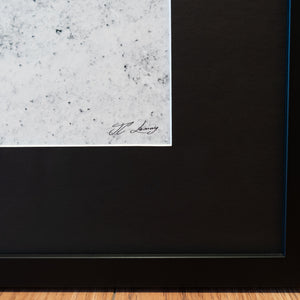 Shark on Patrol - Gallery Frame (24x36 inches)