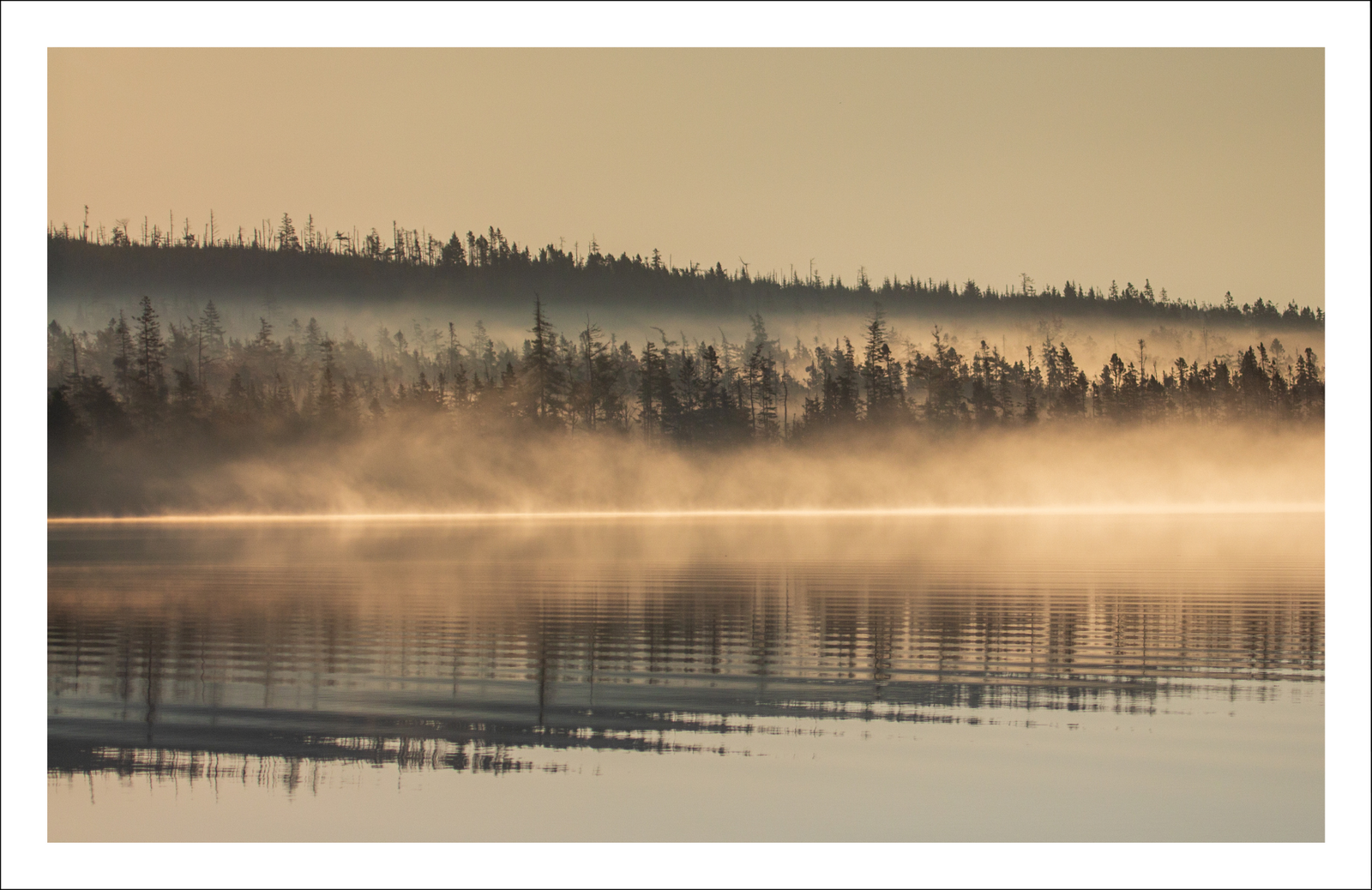 Porter's Lake - Greeting Card