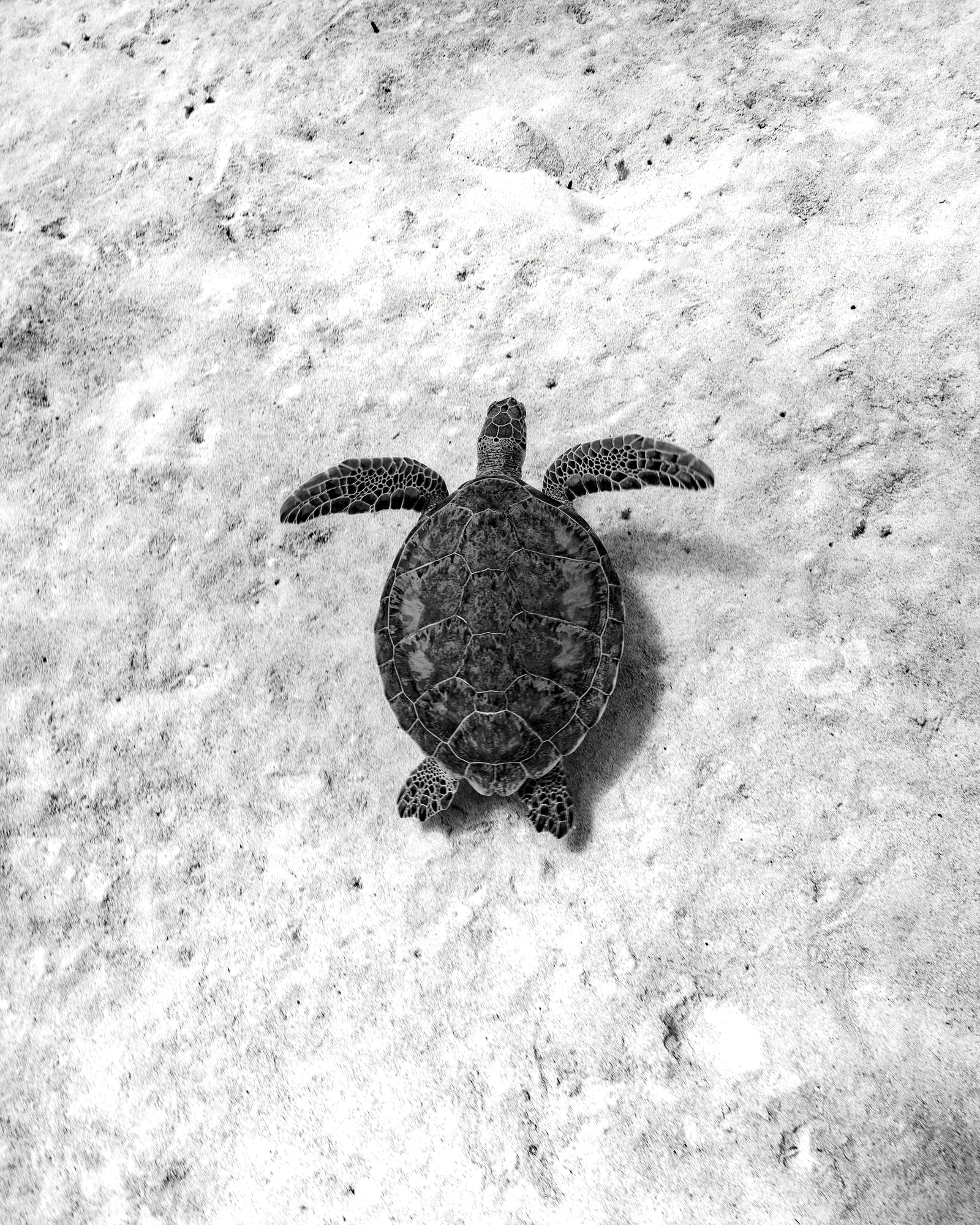 On the sand