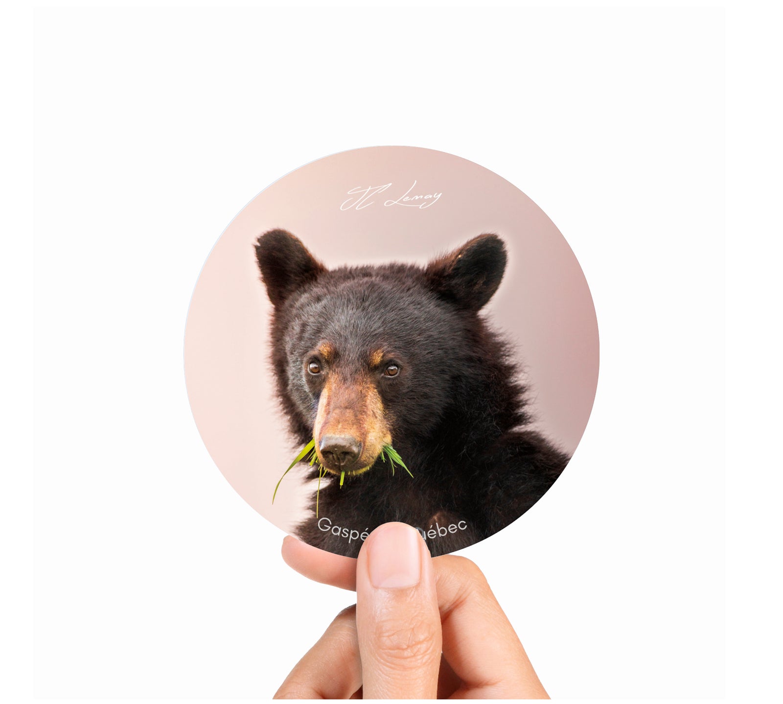 Sticker - Black bear