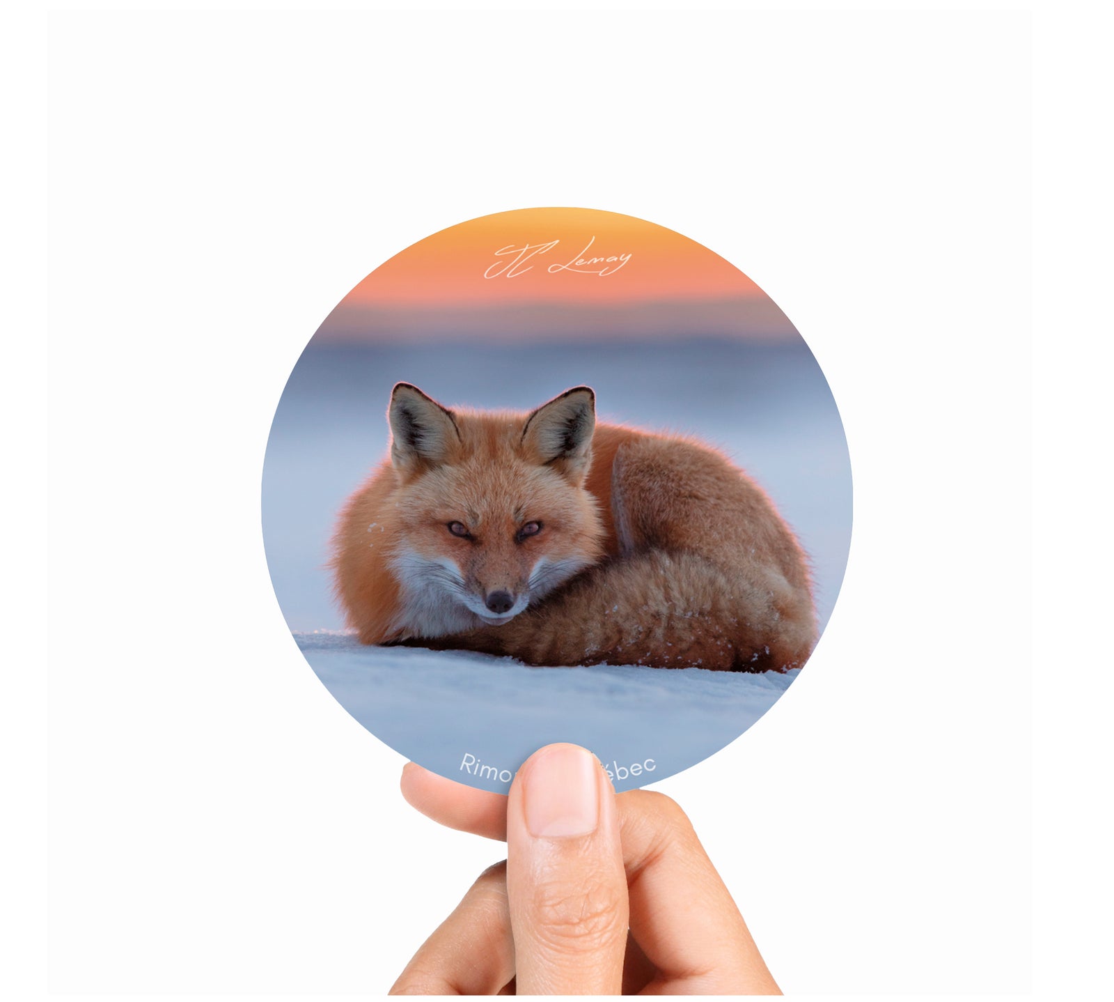 Sticker - Red fox