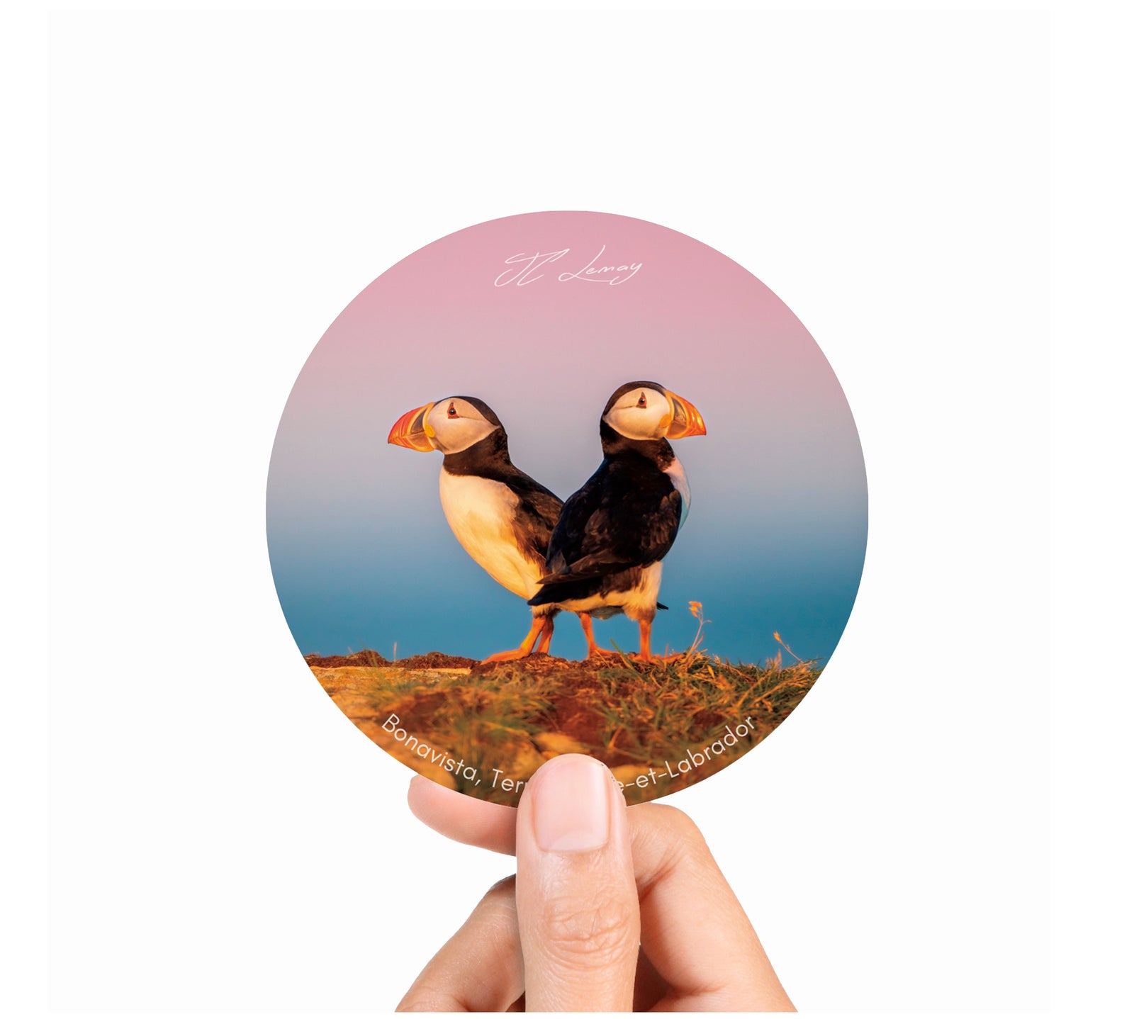 Sticker - Puffins