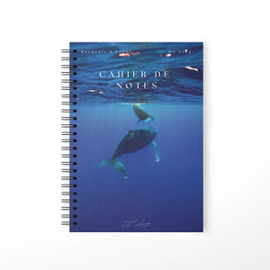 Whale - Notebook