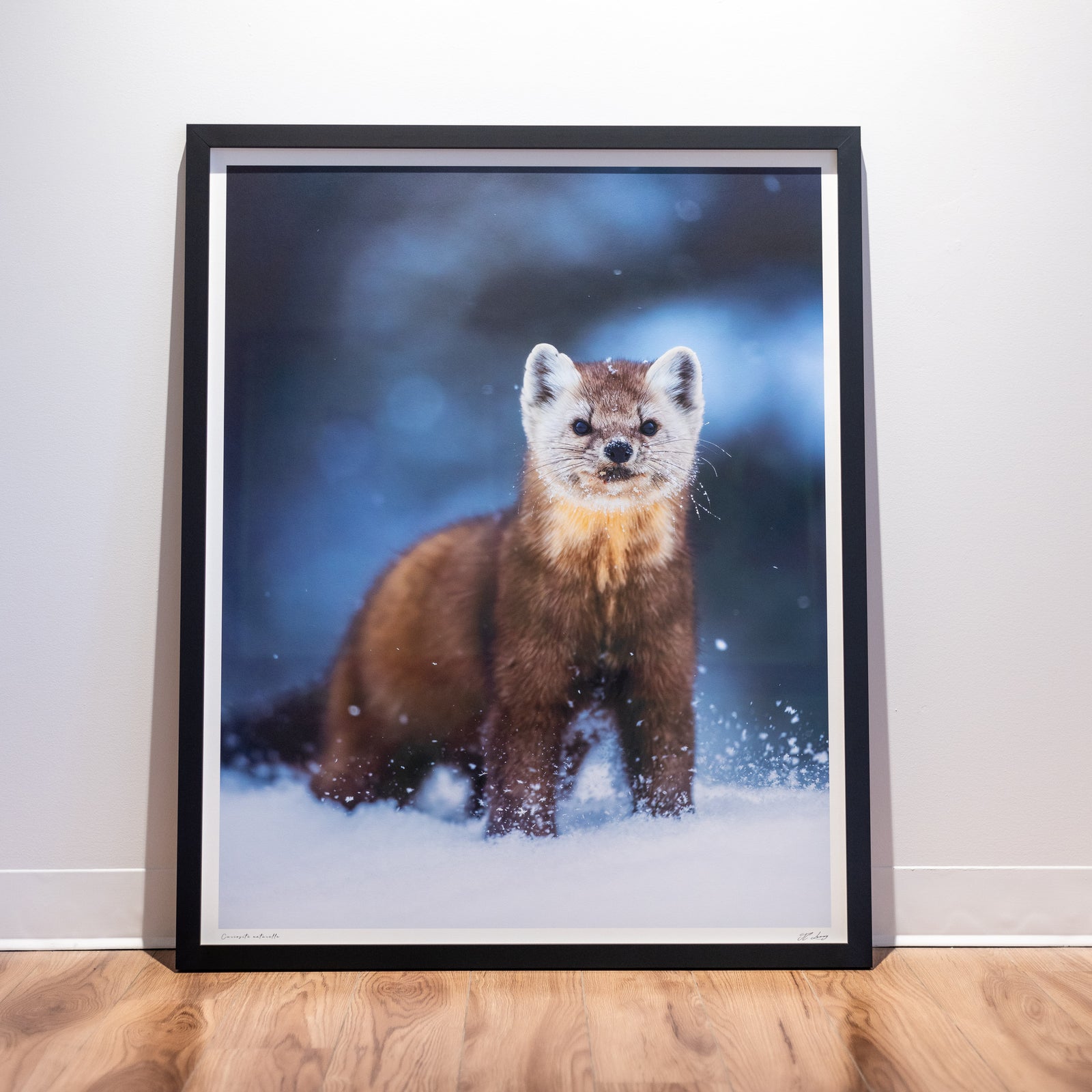 Natural curiosity - Limited gallery frame (34x42 inches)