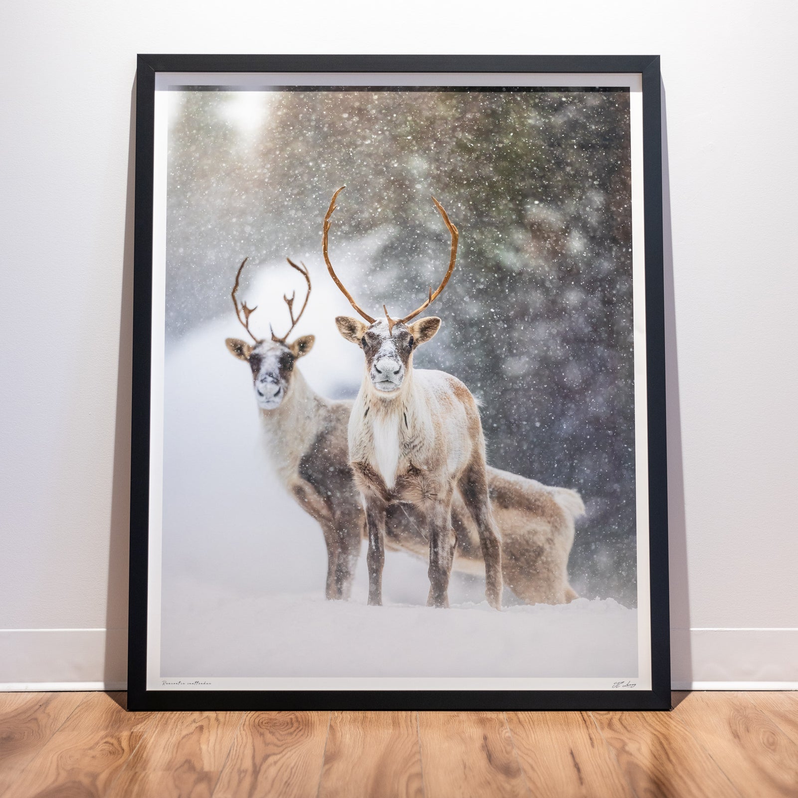 Unexpected meeting - Limited frame gallery (34x42 inches)