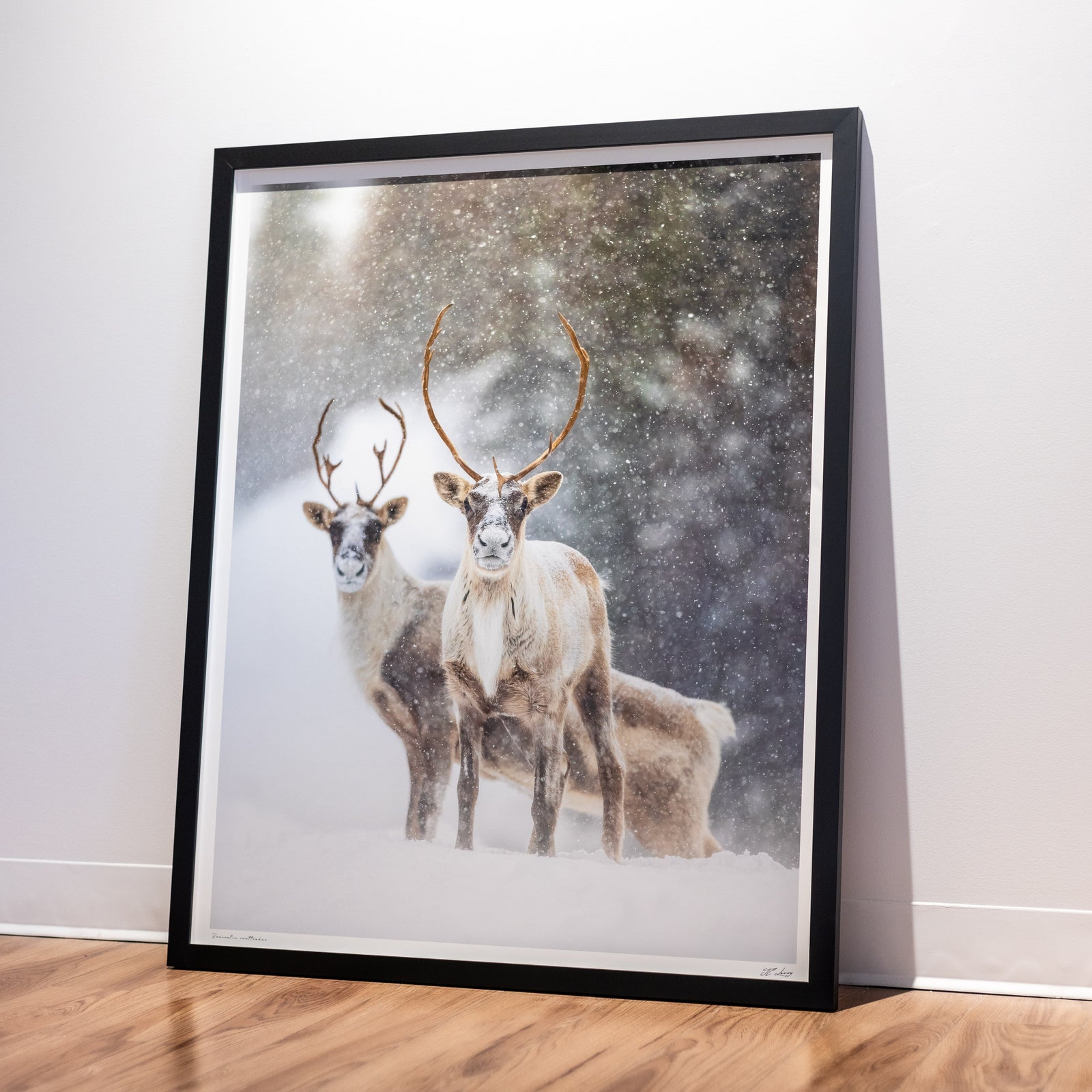 Unexpected meeting - Limited frame gallery (34x42 inches)