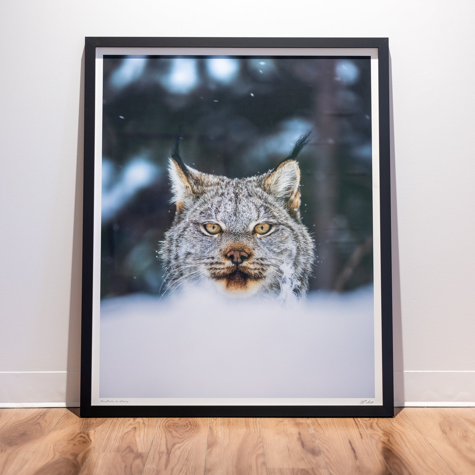 Feather Moustache - Limited gallery frame (34x42 inches)