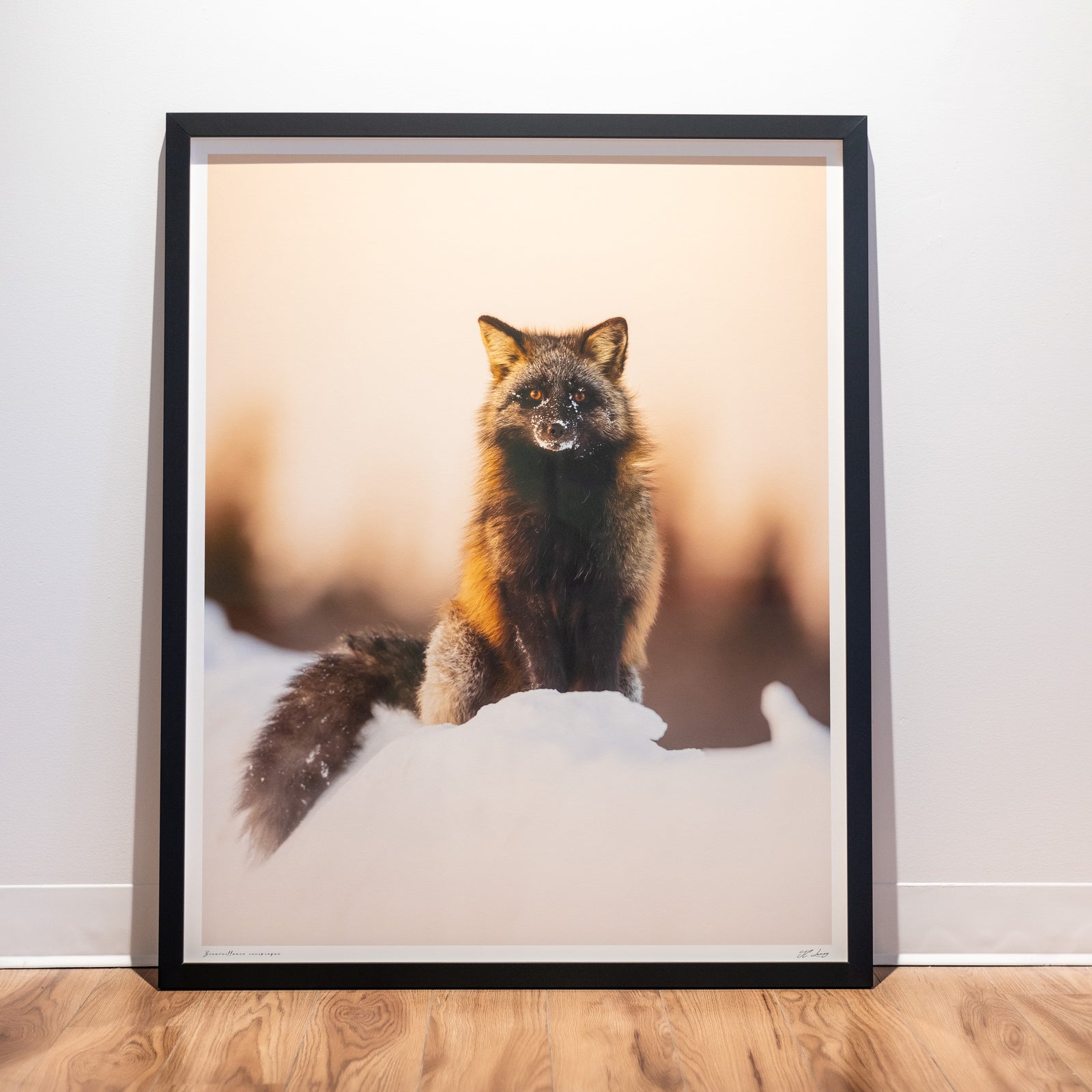 Mutual benevolence - Limited gallery frame (34x42 inches)