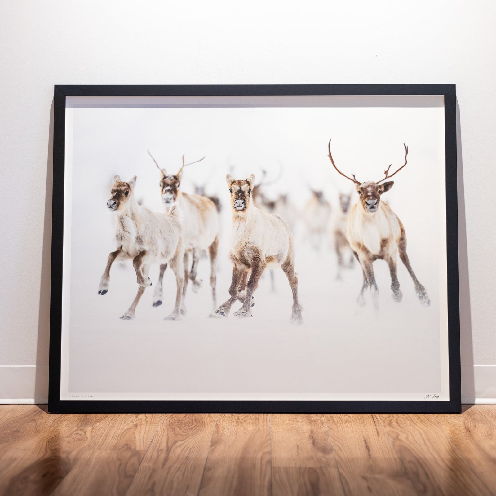 The big race - Limited gallery frame (34x42 inches)