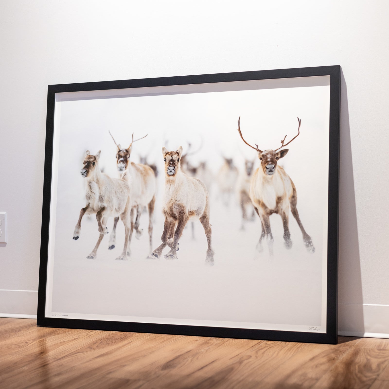 The big race - Limited gallery frame (34x42 inches)