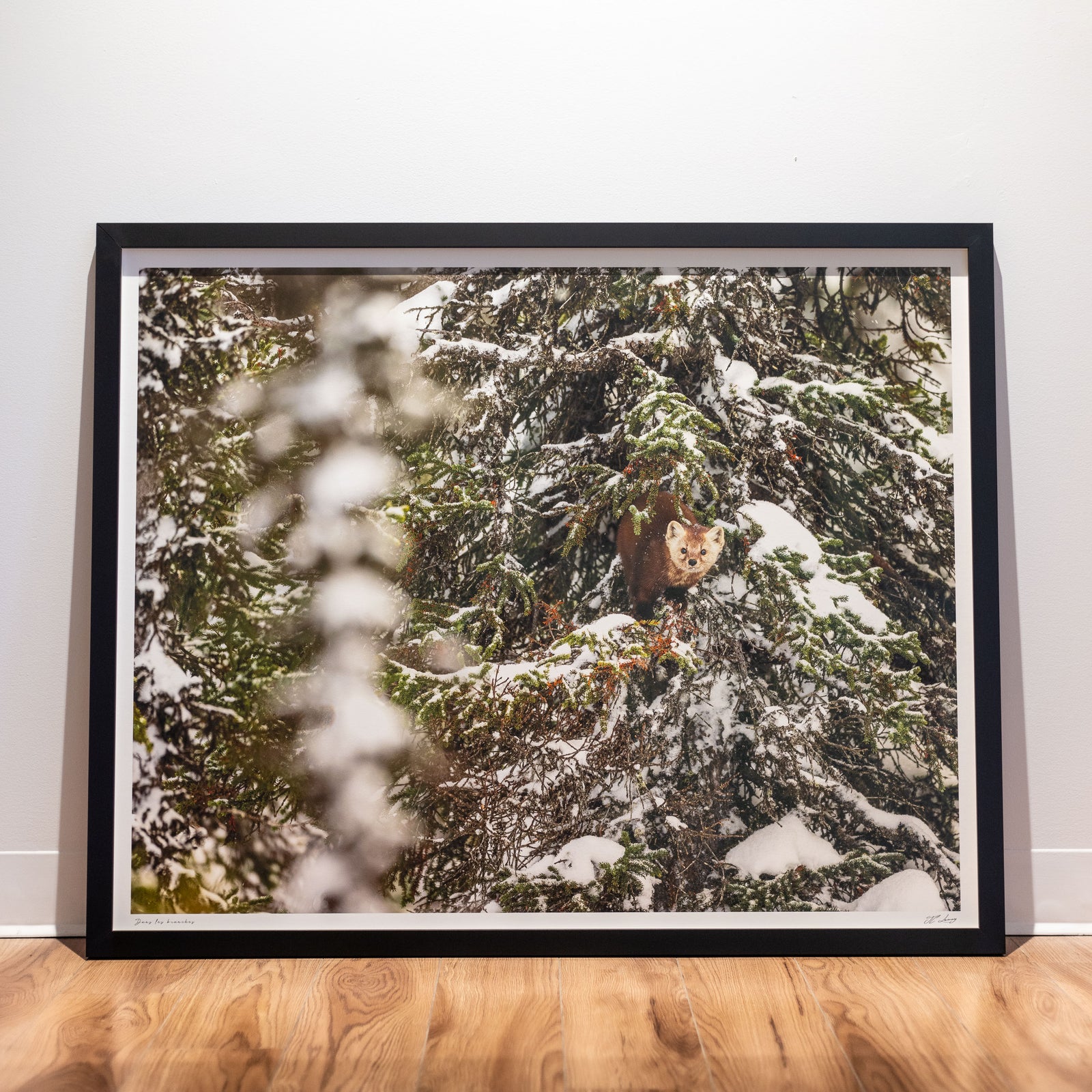 In the branches - Limited gallery frame (34x42 inches)