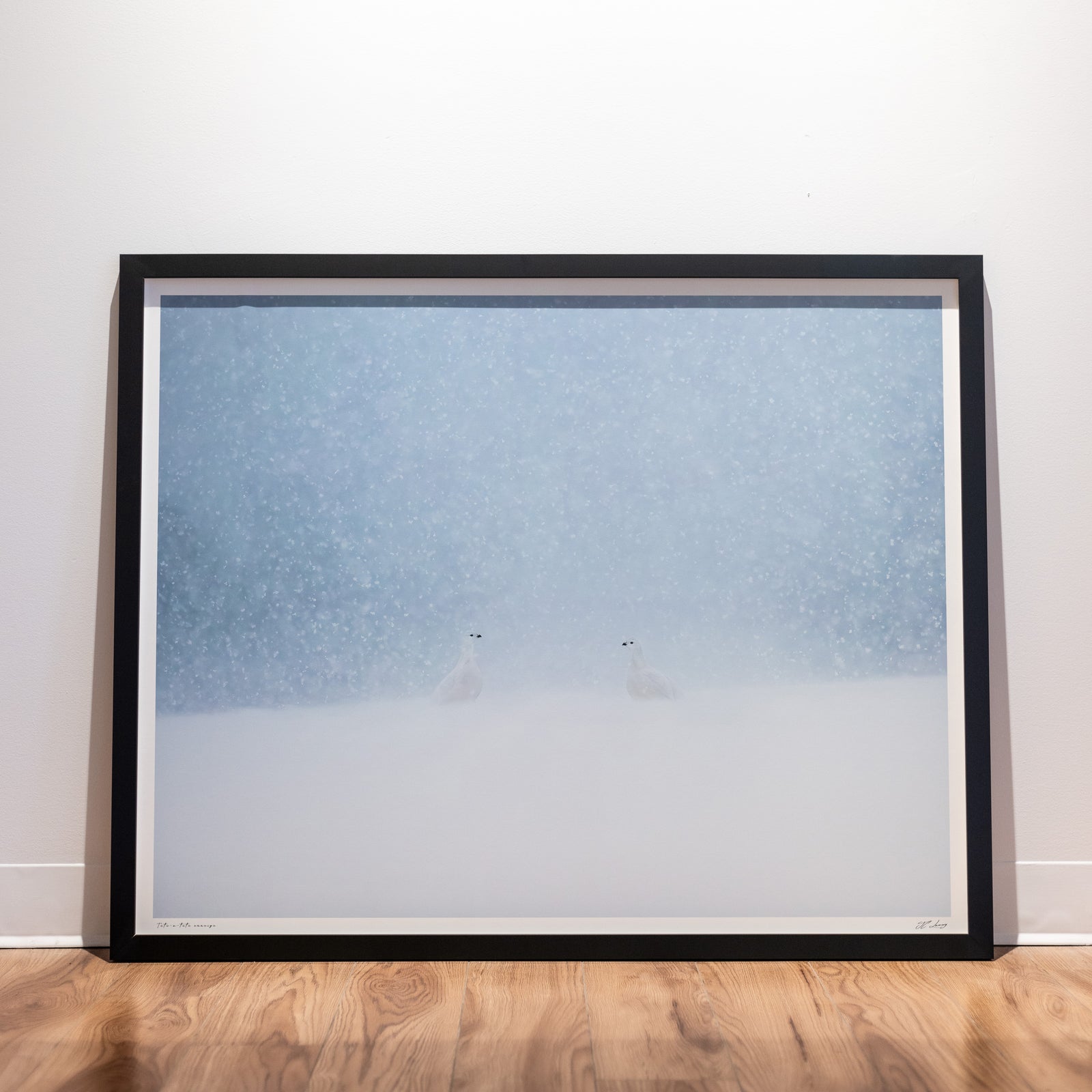 Snowy tête-à-tête - Limited gallery frame (34x42 inches)