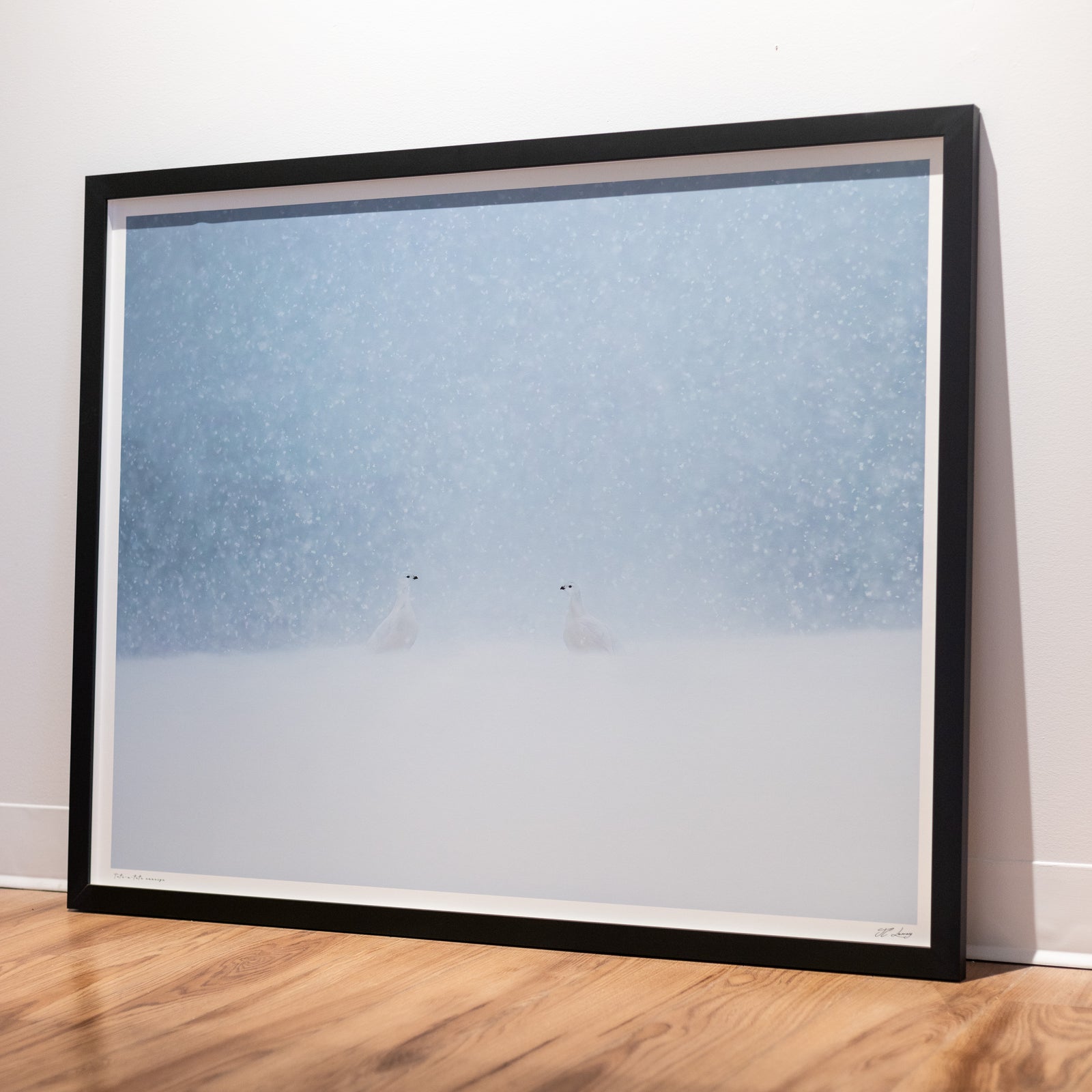 Snowy tête-à-tête - Limited gallery frame (34x42 inches)