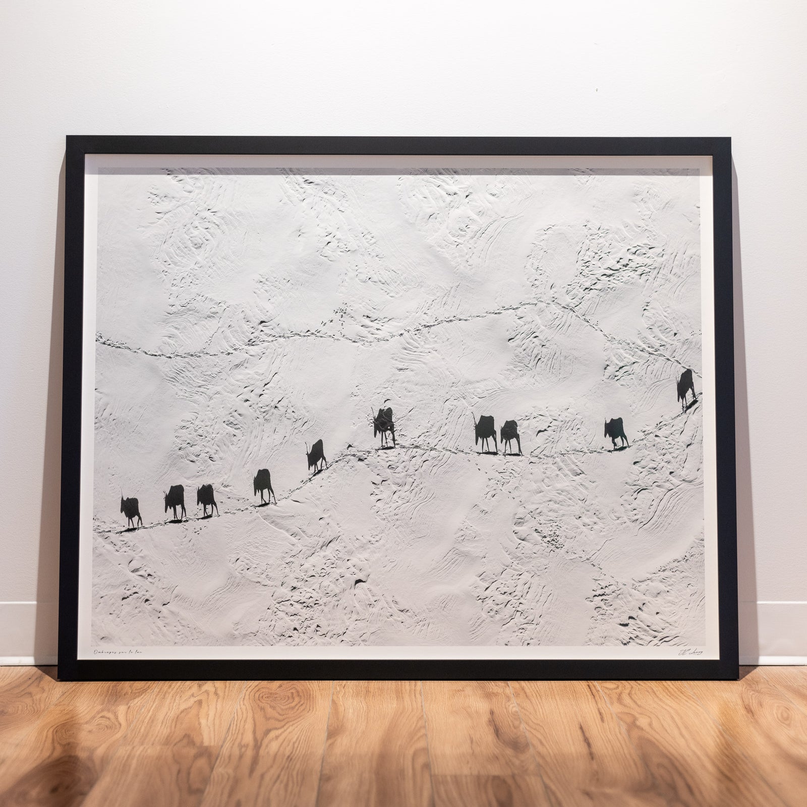 Shadows on the lake - Limited gallery frame (34x42 inches)