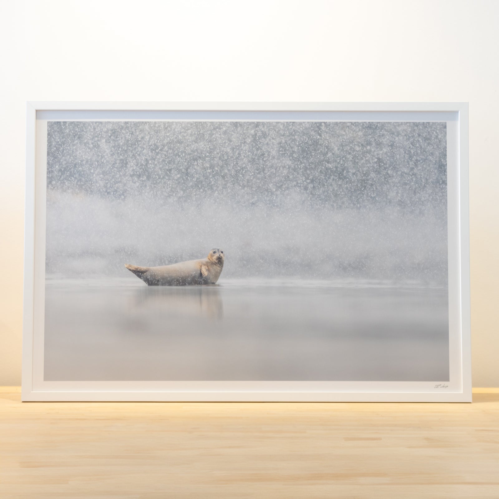 Neige d'avril - cadre 24x36 pouces