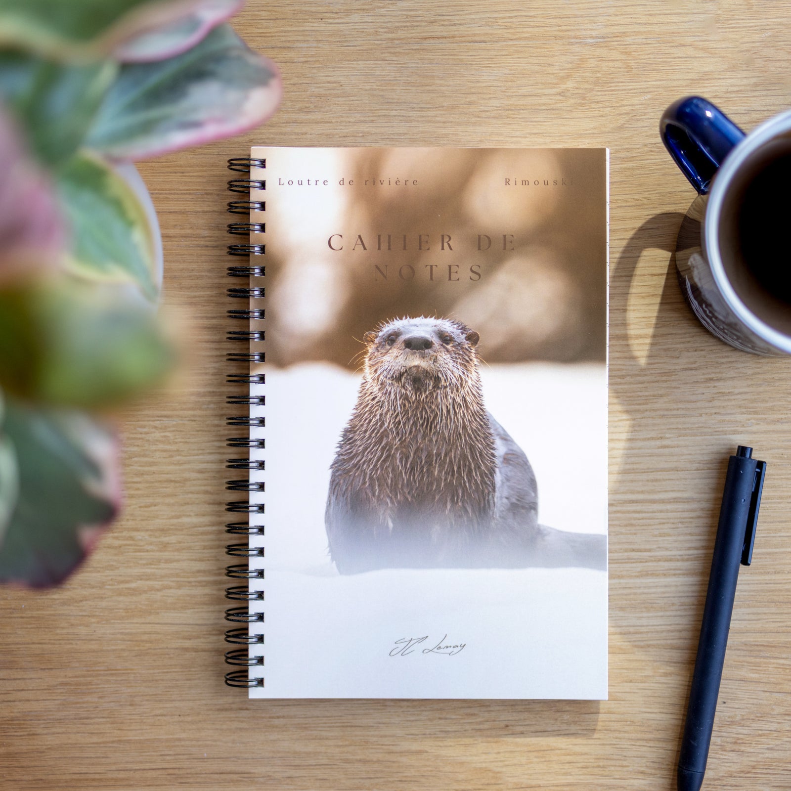 Otter - Notebook