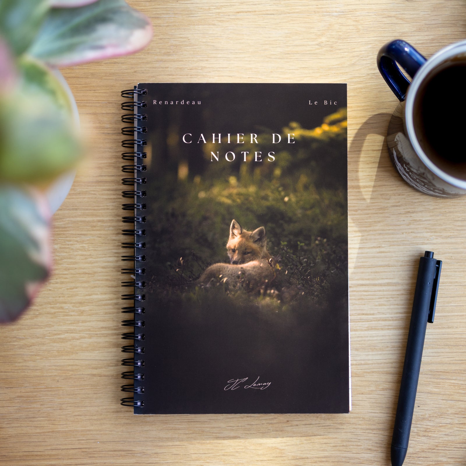 Ray of light - Notebook