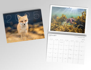 Calendar gift set (5)