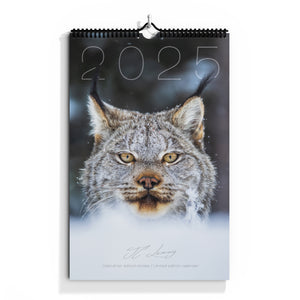 Calendar 2025 - limited edition