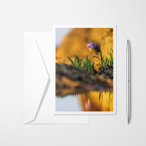 Iris - Greeting card