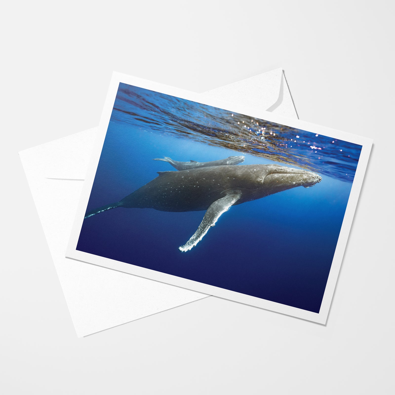 Peek-a-Boo - Greeting Card