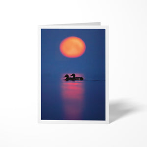 Moonset ducks - carte de souhaits
