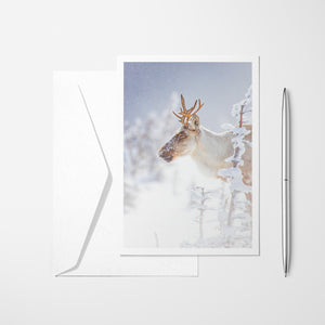 Apaisant - Carte de souhaits