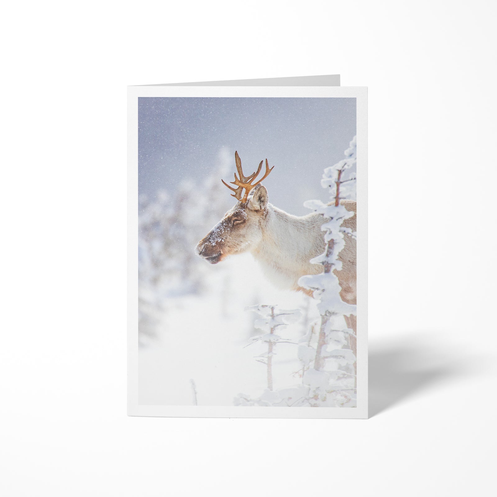 Soothing - Greeting Card