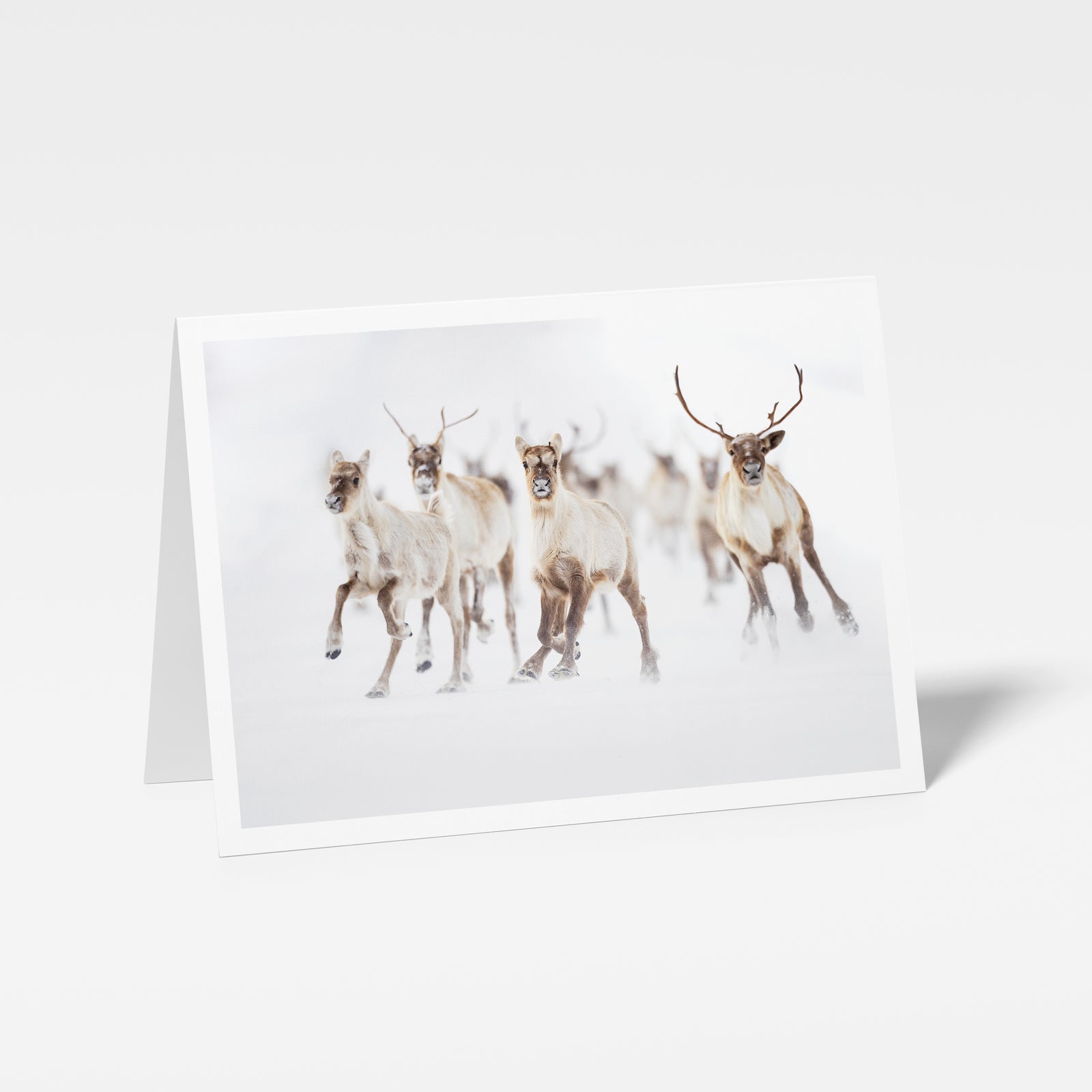 The great run - Greeting card